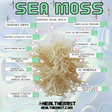 Load image into Gallery viewer, ✦ PURE: (plain) Sea Moss Gel
